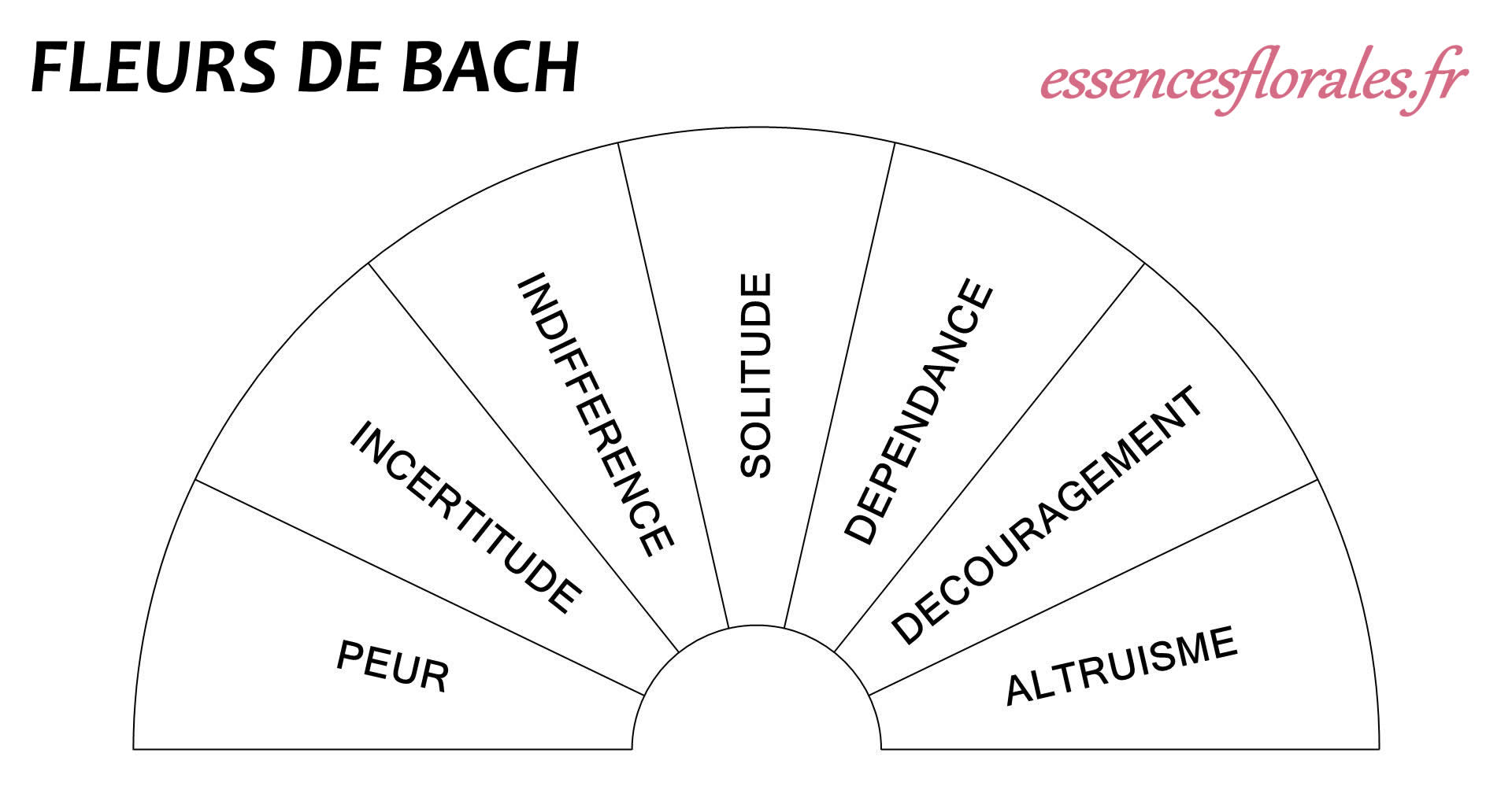 You are currently viewing Planches Pendule Fleurs de Bach