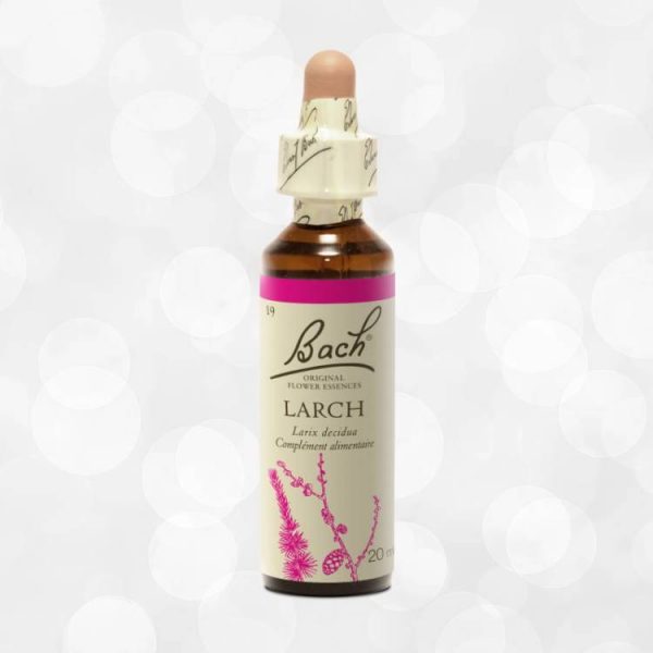 Fleur de Bach Original Larch Mélèze