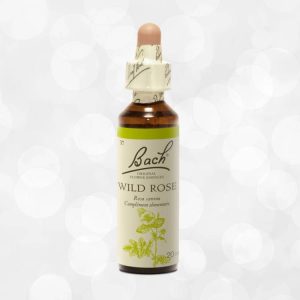 Fleur de Bach Original Wild Rose Eglantine