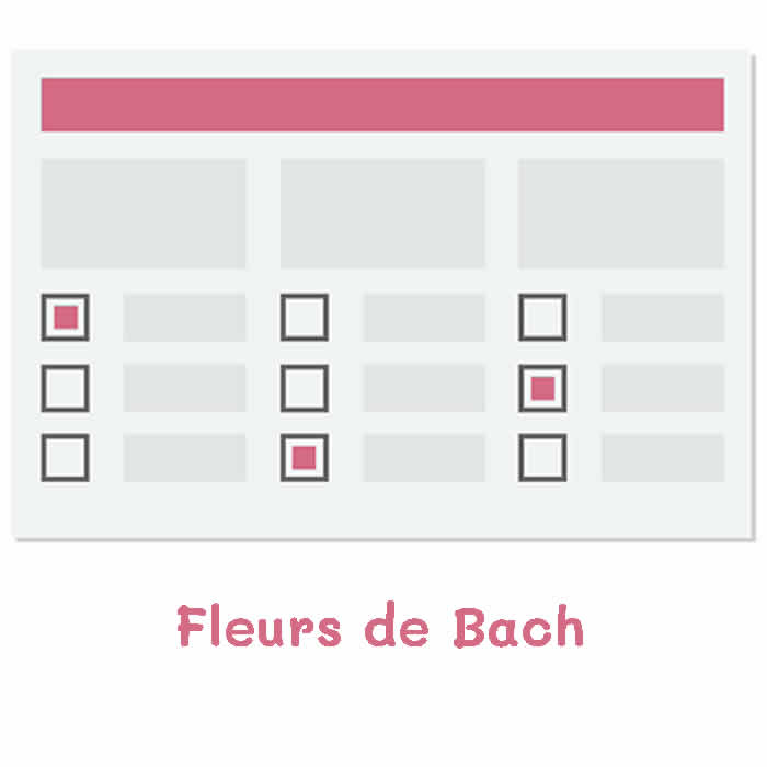 Lire la suite à propos de l’article Le Meilleur Questionnaire Fleurs de Bach