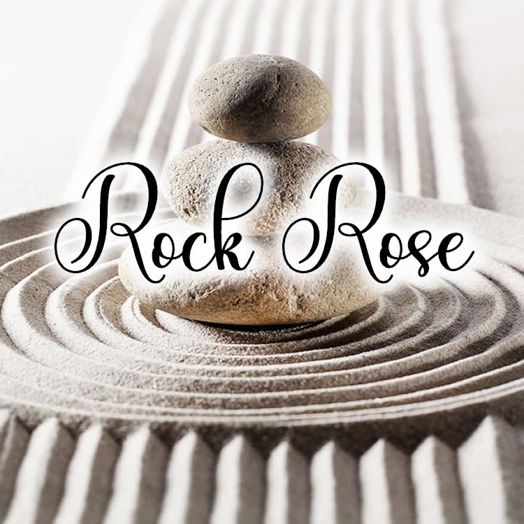 Lire la suite à propos de l’article Rock Rose et les autres fleurs de Bach