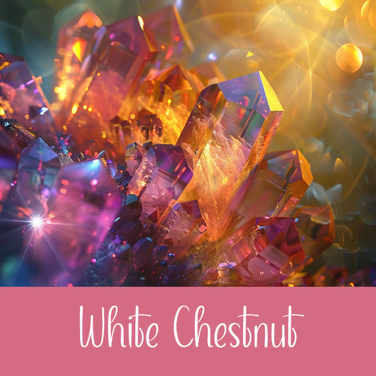 Lire la suite à propos de l’article Rituel fleur de Bach White Chestnut